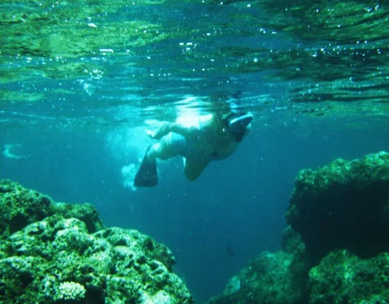 Afternoon Snorkel