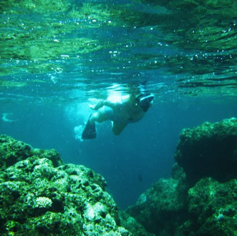 Afternoon Snorkel