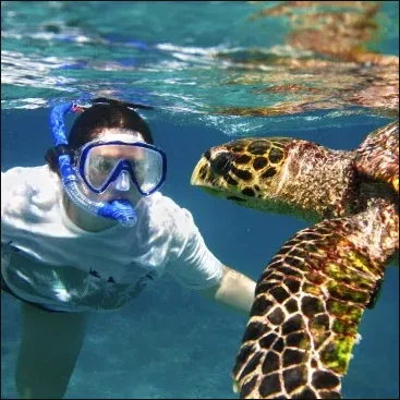 Morning Snorkel