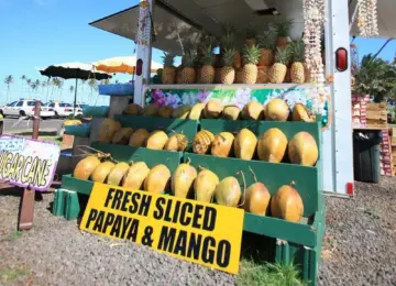 tropical fruits including pineapples, papayas, and mangoes displayed at a roadside stand