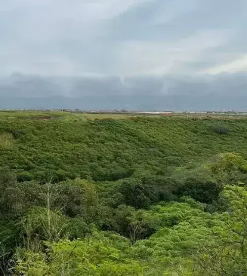 Lush green Hawaiian landscape with dense vegetation and distant cloudy mountains