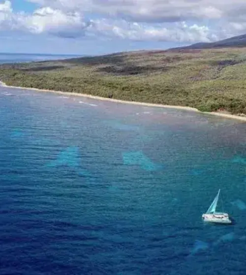 Aventure de Snorkeling à Voile à l'Ouest de Maui