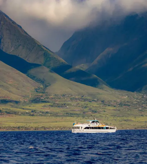 white catamaran boat sailing on ocean with green mountains and clouds in background