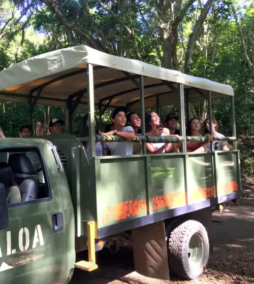 Group of smiling tourists riding a green Kualoa tour truck in a forest setting