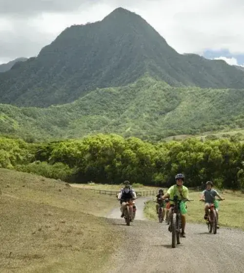group of people biking on trail with mountain and trees in background
