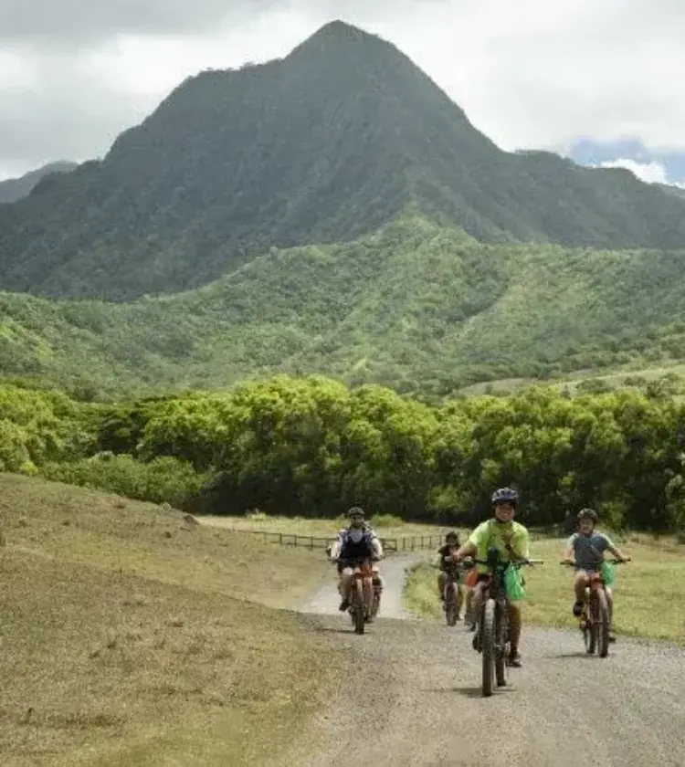 group of people biking on trail with mountain and trees in background