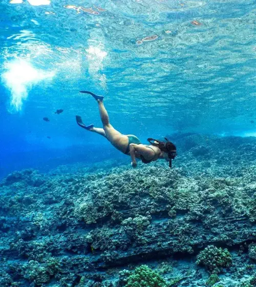 woman snorkeling underwater over coral reef in clear blue ocean