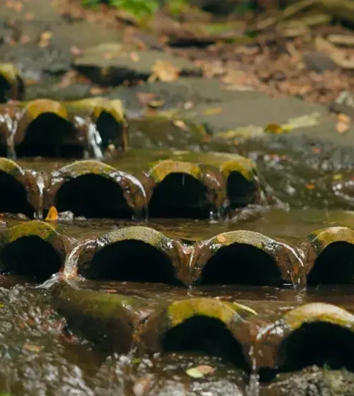 water flowing over moss-covered semicircular stone tiles with leaves scattered