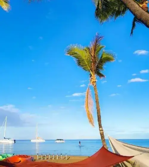 Clear tropical beach with palm trees, kayaks on sand, boats anchored off shore, and calm blue water under a bright sky