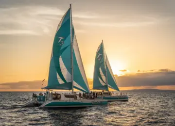 two catamarans with turquoise sails sailing on ocean at sunset