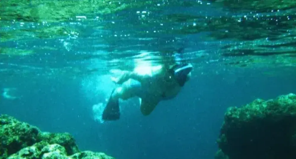 snorkeler swimming underwater near coral reef