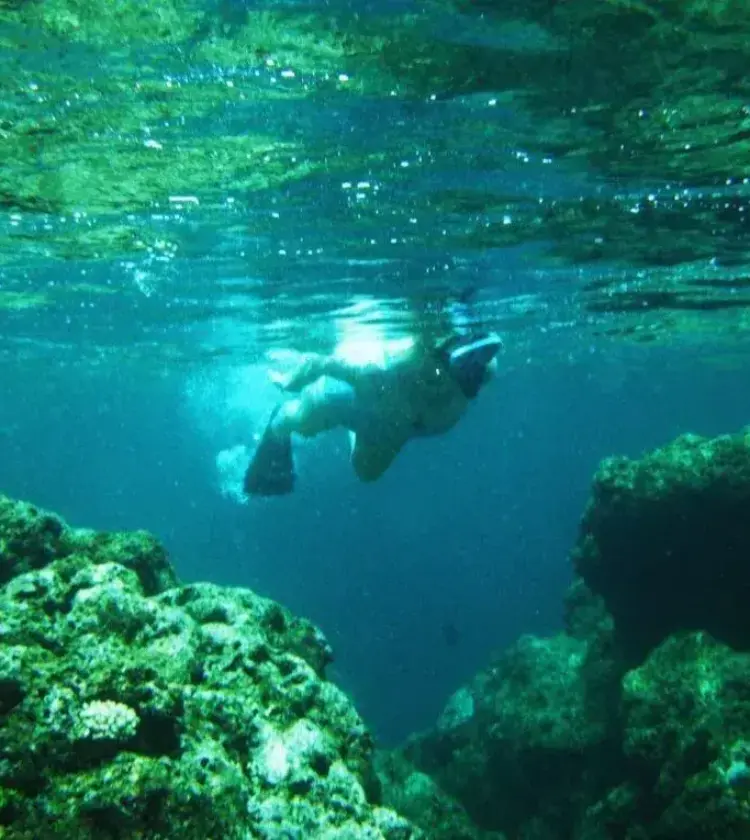 snorkeler swimming underwater near coral reef