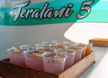 Tray of pink and orange iced drinks with lemon slices in plastic cups