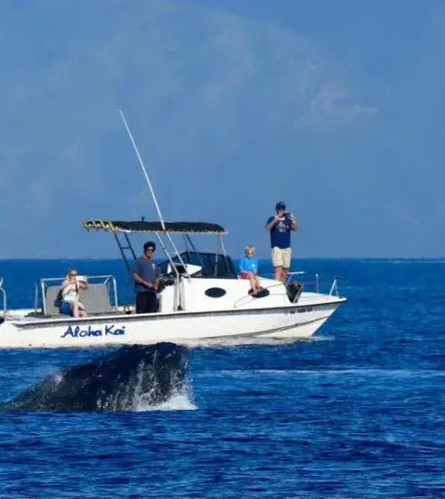 small white whale watching boat on ocean with people observing whale tail splash