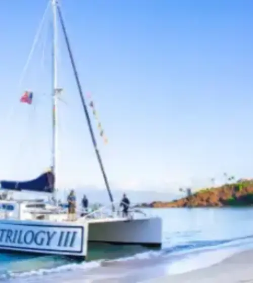 Discover Molokini: Snorkeling & Marine Adventure