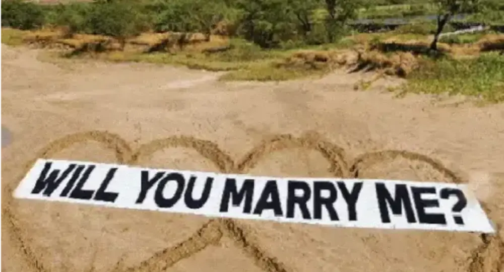 Beach Proposal Flight