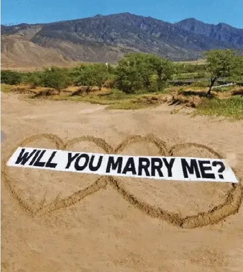 Beach Proposal Flight