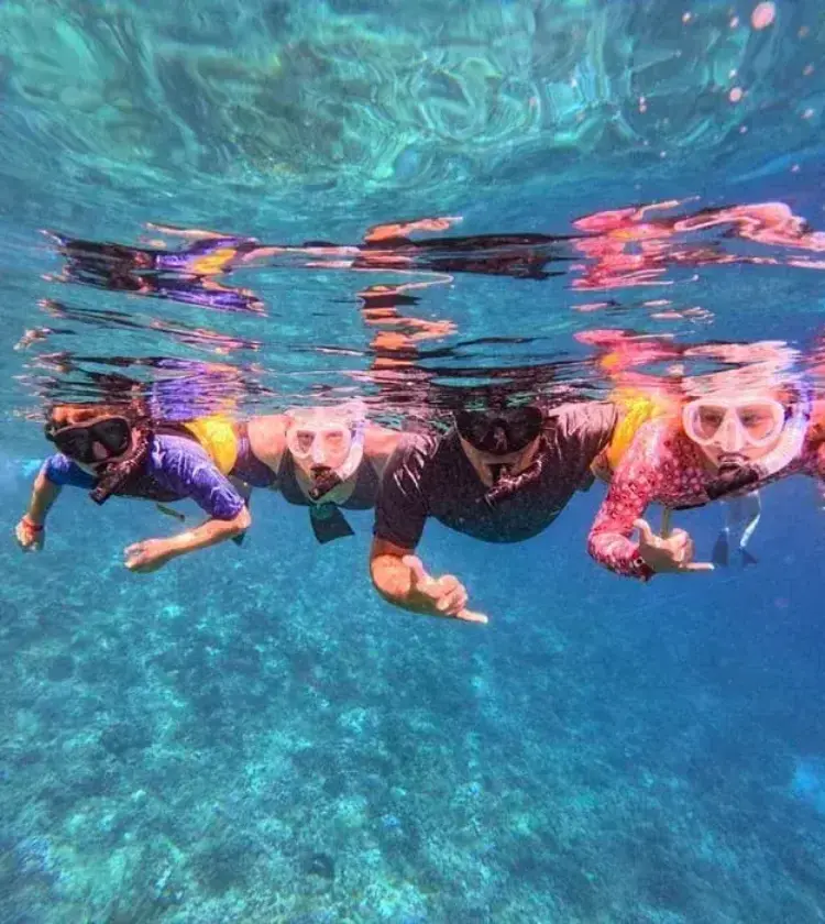 four people snorkeling underwater wearing masks and snorkels over coral reef