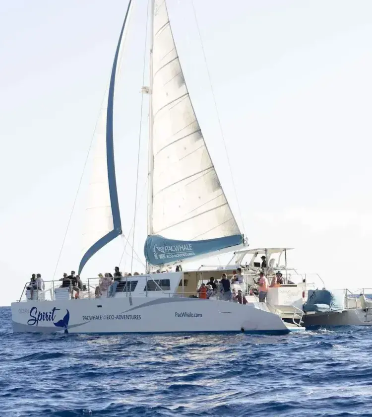 sailboat Ocean Spirit with passengers sailing on blue ocean under clear sky