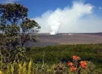 Hawaii: Hilo Volcano Tour (Land Tour)