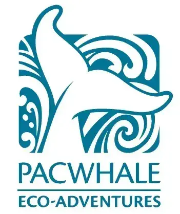 Pacific Whale Foundation