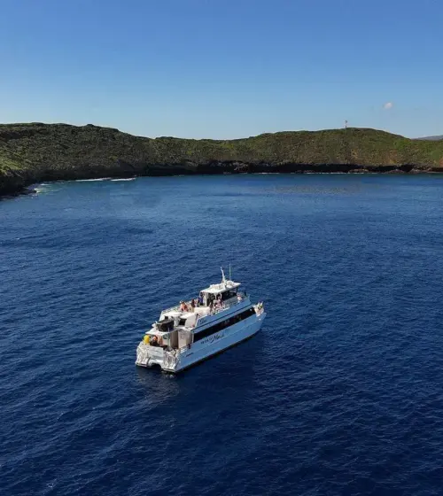 white tour boat sailing in blue ocean near green island under clear sky