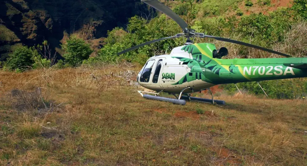green and white helicopter on grassy field with mountainous backdrop