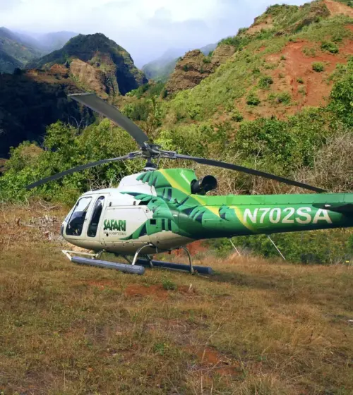 green and white helicopter on grassy field with mountainous backdrop