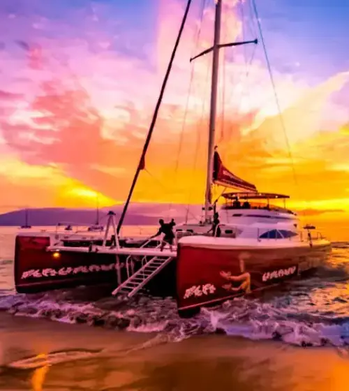 catamaran sailboat on shore during vibrant sunset over ocean