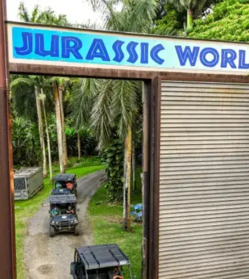 Entrance gate with Jurassic World sign and several off-road vehicles on a dirt path surrounded by palm trees