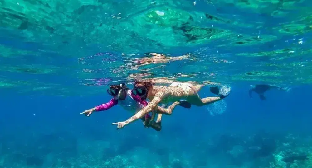 Two people snorkeling underwater in clear blue ocean with coral visible below