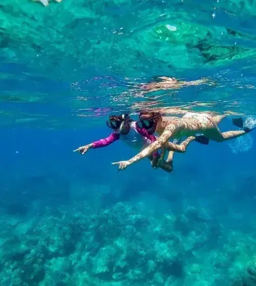 Two people snorkeling underwater in clear blue ocean with coral visible below