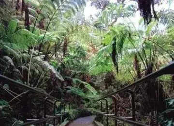 Oahu Grand Circle Island Tour