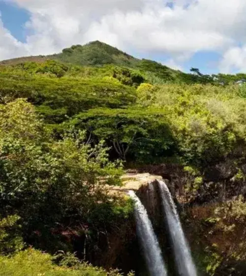 waterfall cascading over cliff surrounded by dense green forest under blue sky