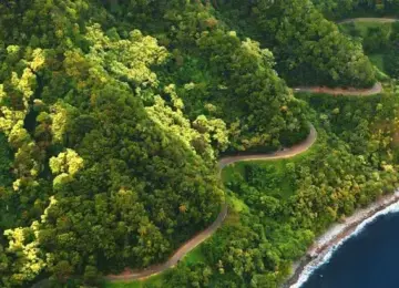 Aerial view of a winding road through green mountainous terrain along the coastline with ocean waves