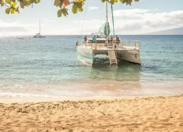 catamaran anchored near sandy beach with leafy tree canopy overhead