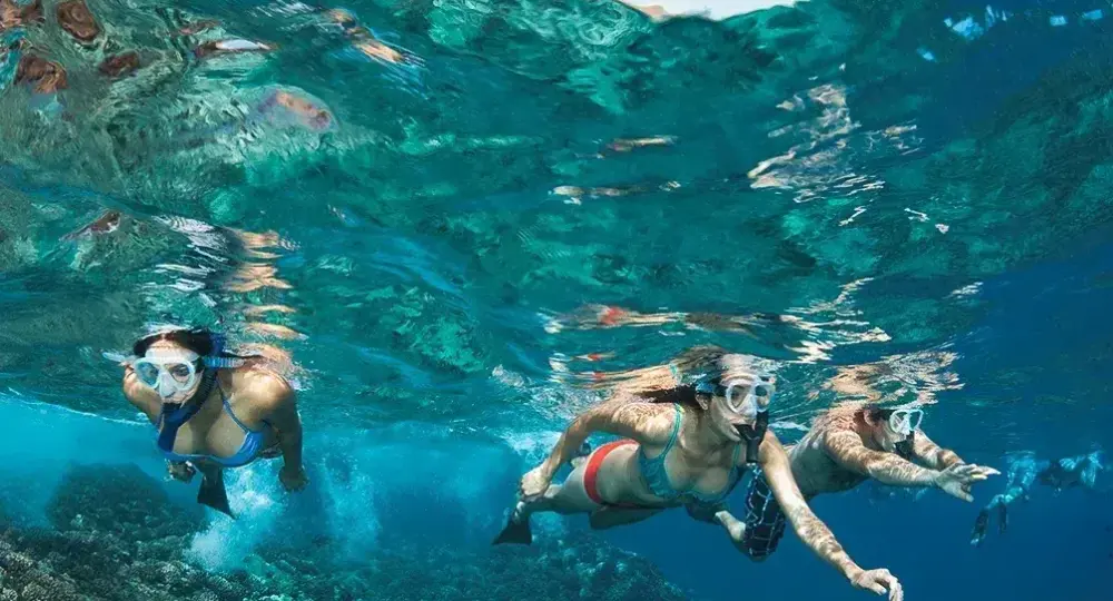 Three snorkelers swimming underwater above a coral reef