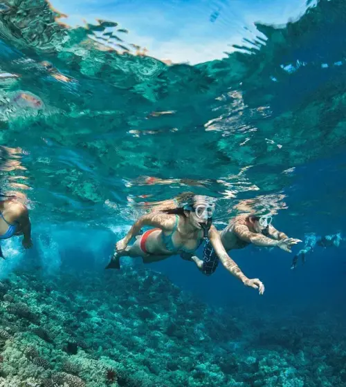 Three snorkelers swimming underwater above a coral reef