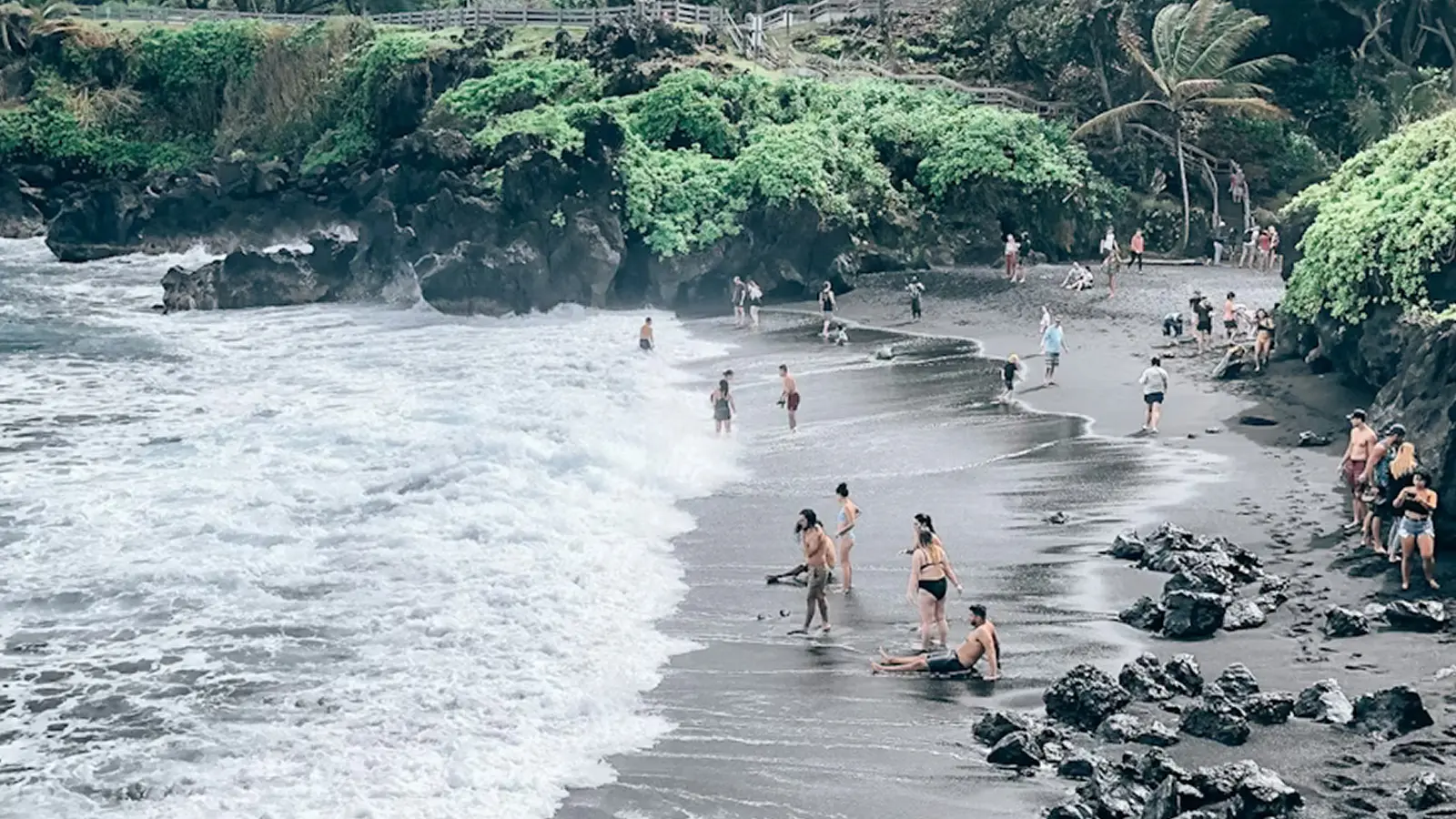 People enjoying waves and black sand beach surrounded by green cliffs