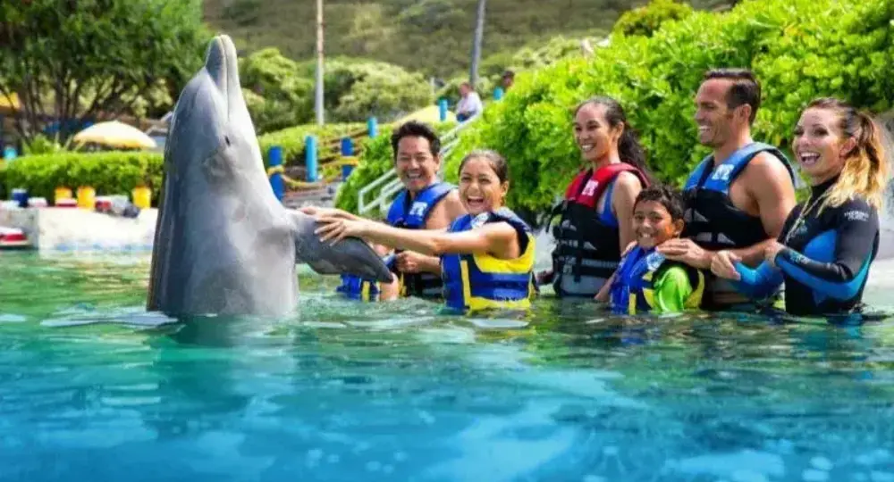Group of people in life vests interacting and smiling with a dolphin in clear water