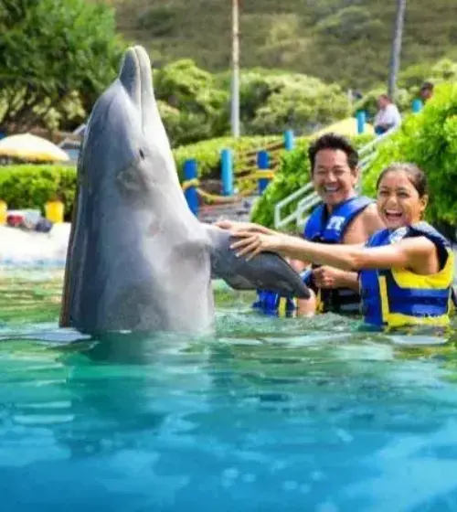 Group of people in life vests interacting and smiling with a dolphin in clear water