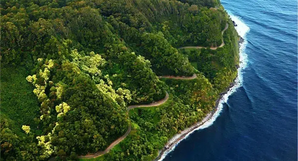 winding coastal road cutting through green cliffs beside deep blue ocean