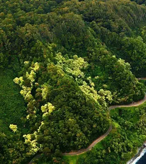 winding coastal road cutting through green cliffs beside deep blue ocean