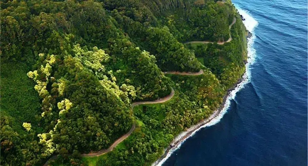 Winding coastal road through dense green cliffs beside dark blue ocean
