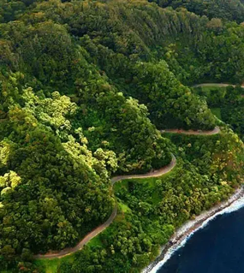 Winding coastal road through dense green cliffs beside dark blue ocean