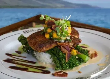plated spiced fish served on rice with broccolini, sauce, and garnishes with ocean background