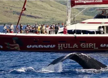 Whale tail emerging from blue ocean near tour boat with people