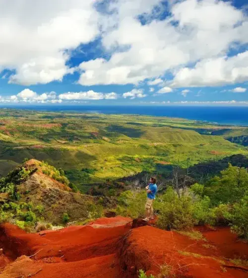 man standing on red earth cliff looking over expansive green and red canyon under blue sky with clouds