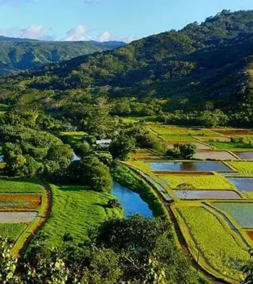 green agricultural valley with river, terraced fields, and mountains under a blue sky