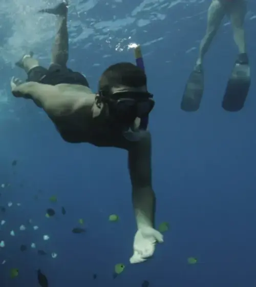man snorkeling underwater near tropical fish and rocky reef